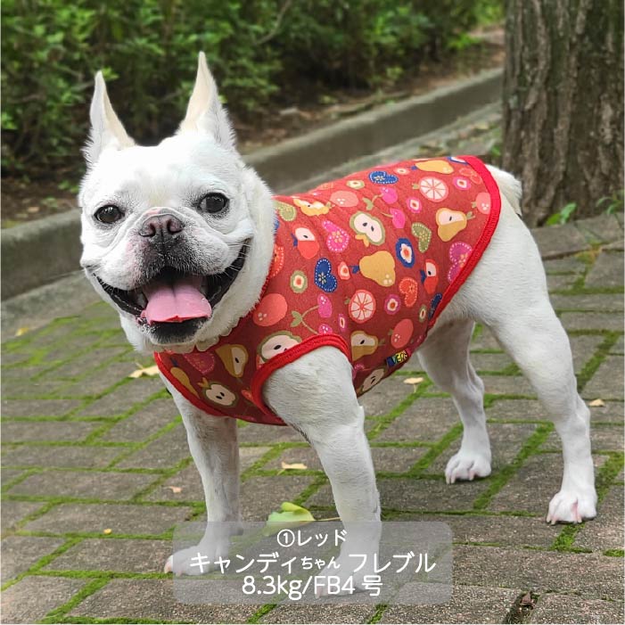 <font color="red">最新秋冬服20％OFFセール</font><br><font size="3">フレブル・パグ</font> <br>プリントタンク - VERY-PET