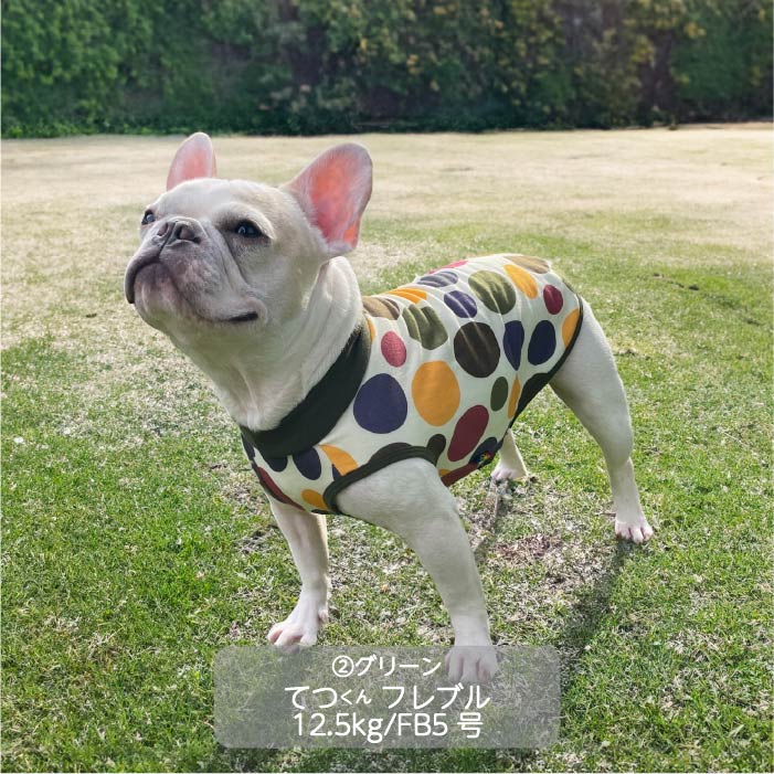 <font color="red">最新秋冬服20％OFFセール</font><br><font size="3">フレブル・パグ</font> <br>プリントタンク - VERY-PET