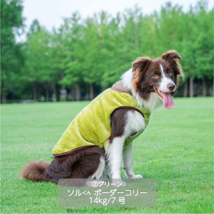 <font size="3">中型犬</font> <br>さらさらボアタンク