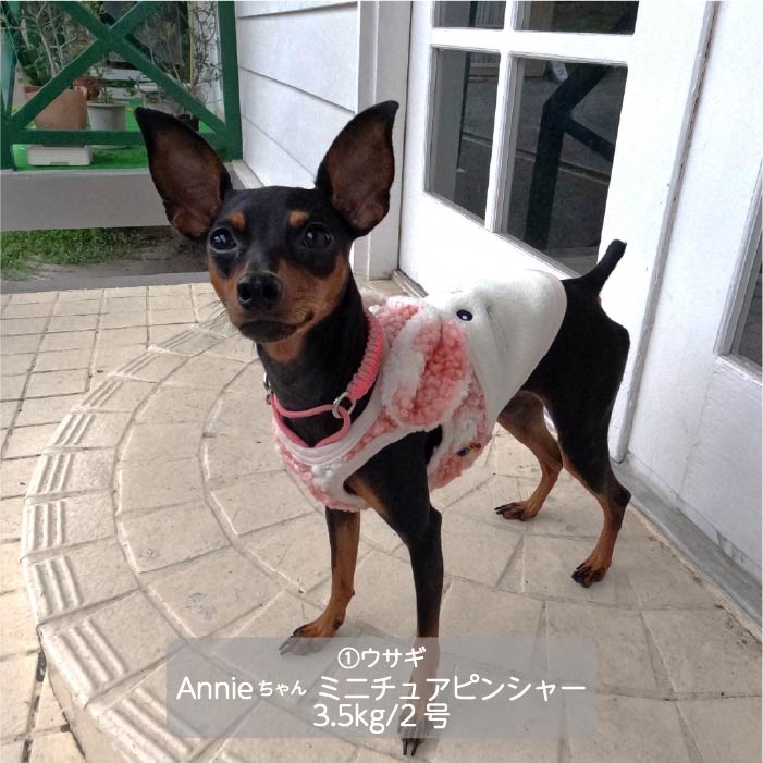 <font color="red">最新秋冬服20％OFFセール</font><br><font size="3">小型犬・胴長・ダックス</font> <br>アニマルタンク - VERY-PET