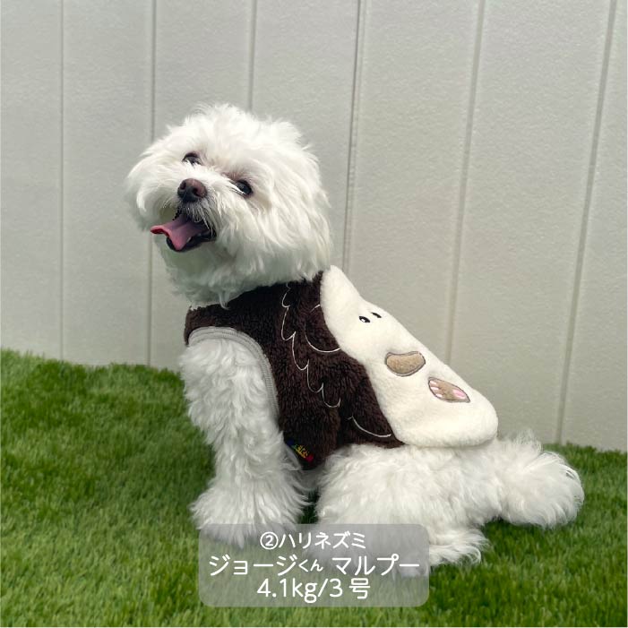 <font color="red">最新秋冬服20％OFFセール</font><br><font size="3">小型犬・胴長・ダックス</font> <br>アニマルタンク - VERY-PET