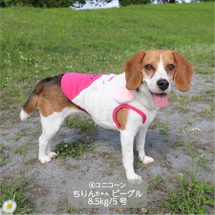 <font color="red">最新秋冬服20％OFFセール</font><br><font size="3">小型犬・胴長・ダックス</font> <br>アニマルタンク - VERY-PET
