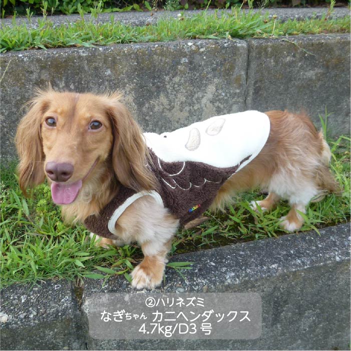 <font color="red">最新秋冬服20％OFFセール</font><br><font size="3">小型犬・胴長・ダックス</font> <br>アニマルタンク - VERY-PET