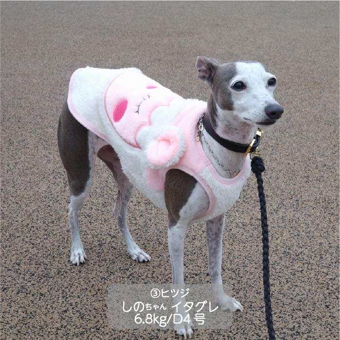 <font color="red">最新秋冬服20％OFFセール</font><br><font size="3">小型犬・胴長・ダックス</font> <br>アニマルタンク - VERY-PET