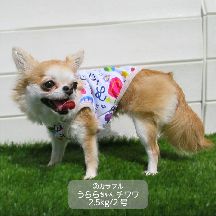 <font color="red">最新秋冬服20％OFFセール</font><br><font size="3">小型犬・胴長・ダックス</font> <br>コラボレーションタンク - VERY-PET
