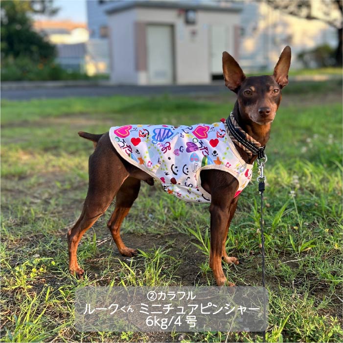 <font color="red">最新秋冬服20％OFFセール</font><br><font size="3">小型犬・胴長・ダックス</font> <br>コラボレーションタンク - VERY-PET