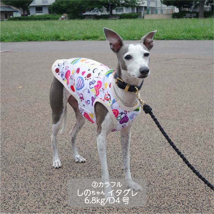 <font color="red">最新秋冬服20％OFFセール</font><br><font size="3">小型犬・胴長・ダックス</font> <br>コラボレーションタンク - VERY-PET