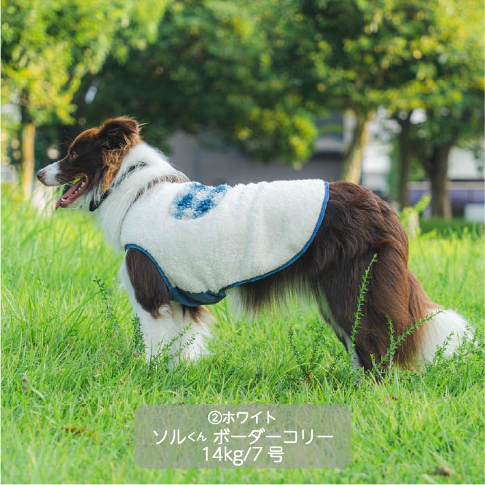 <font size="3">中型犬</font> <br>ポケット付ボアタンク