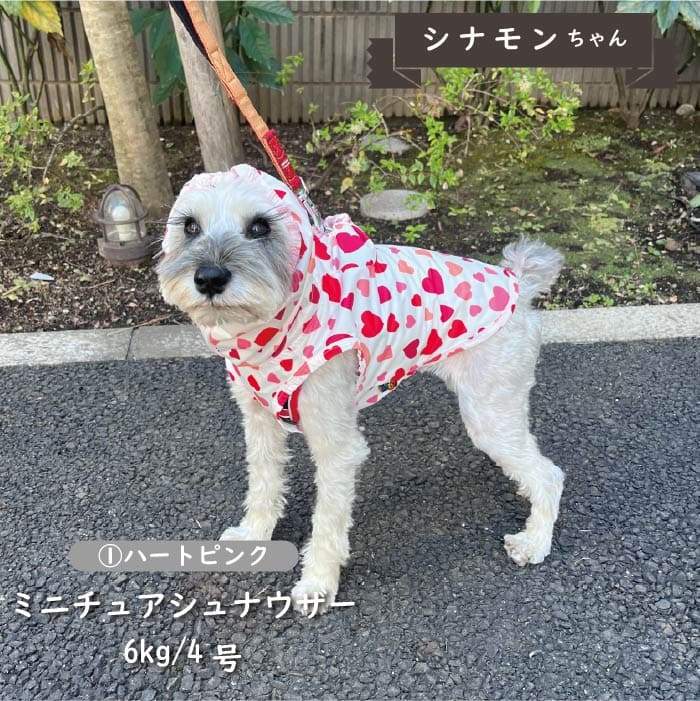 ストレッチレインコート 小型犬・胴長・ダックス - VERY-PET