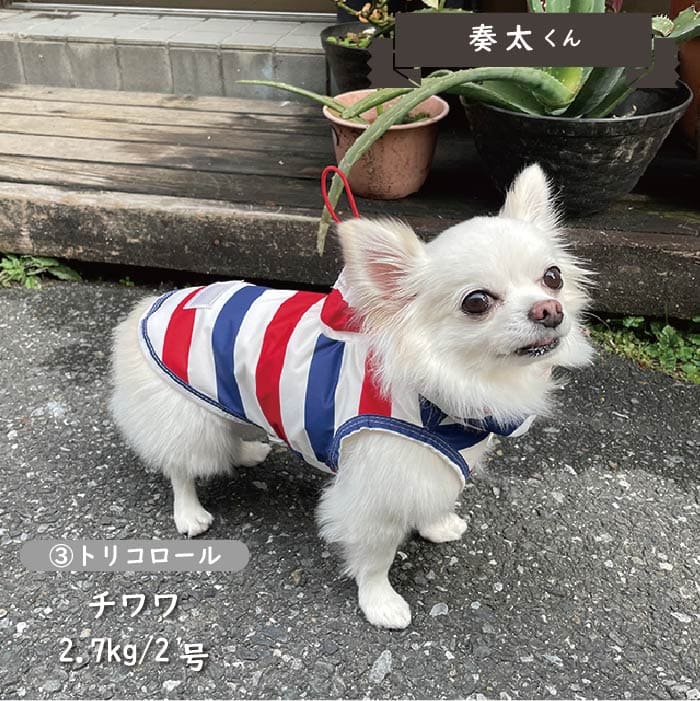 ストレッチレインコート 小型犬・胴長・ダックス - VERY-PET