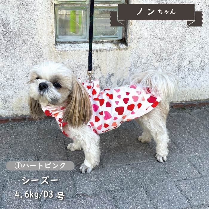 ストレッチレインコート 小型犬・胴長・ダックス - VERY-PET