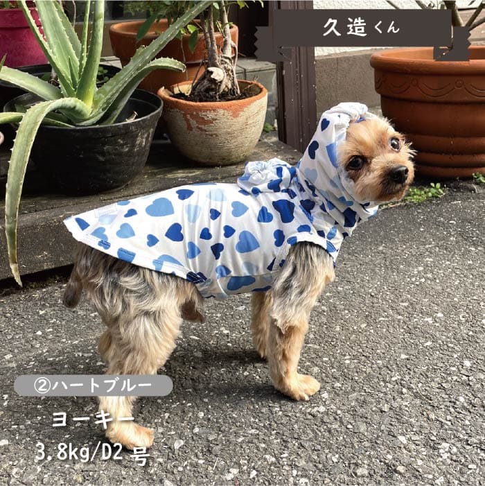 ストレッチレインコート 小型犬・胴長・ダックス - VERY-PET