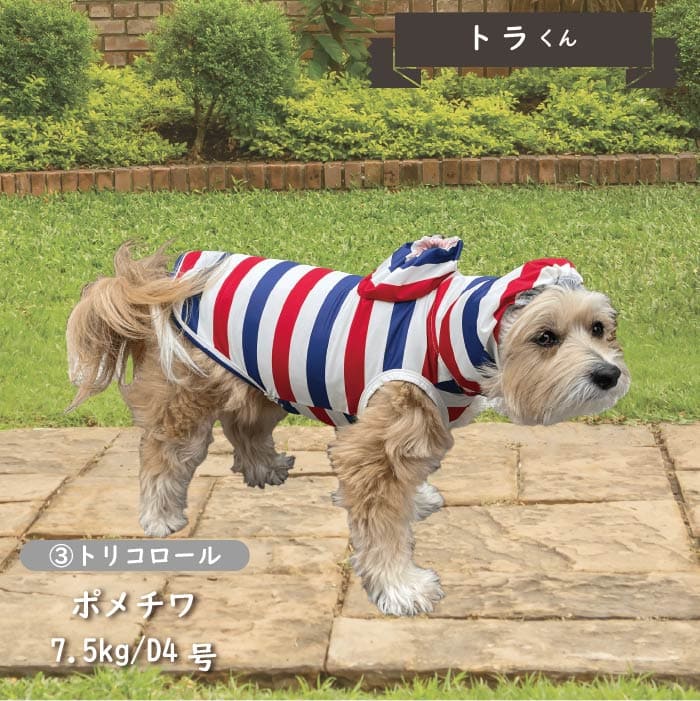 ストレッチレインコート 小型犬・胴長・ダックス - VERY-PET