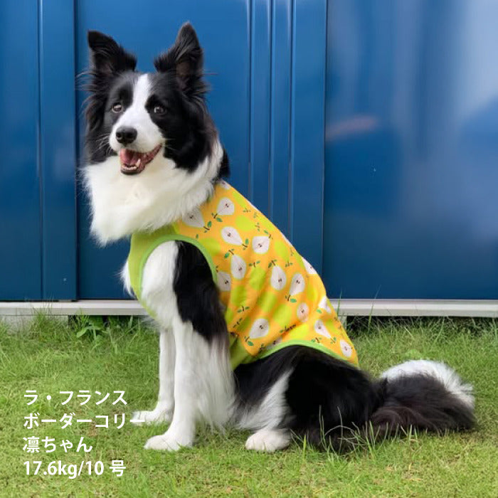 【スタイプレゼント対象商品】小型～超大型 ダックス 胴長 [全29size展開]<br>裏起毛プリントタンク おにぎり/パッチワーク　※8号・9号・10号・11号は定価の20%OFF - VERY-PET