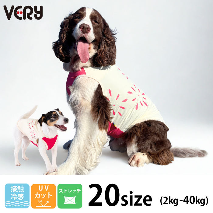 ダックスフントにおすすめの服 – VERY-PET