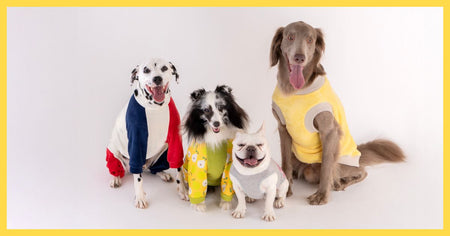 VERYワンバサダー