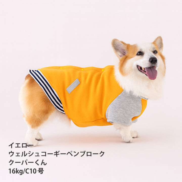 【スタイプレゼント対象商品】コーギー・バセット [全25size展開]<br>スタジャン - VERY-PET