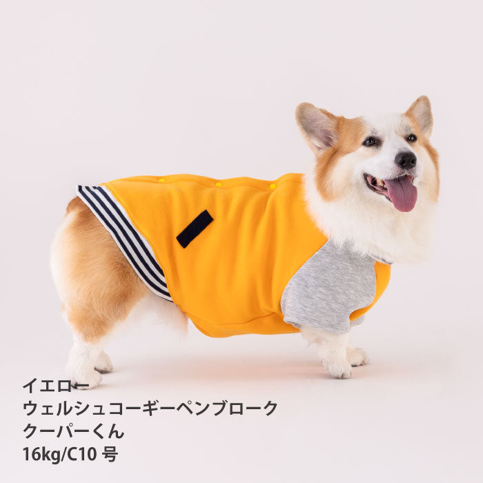【スタイプレゼント対象商品】コーギー・バセット [全25size展開]<br>スタジャン
