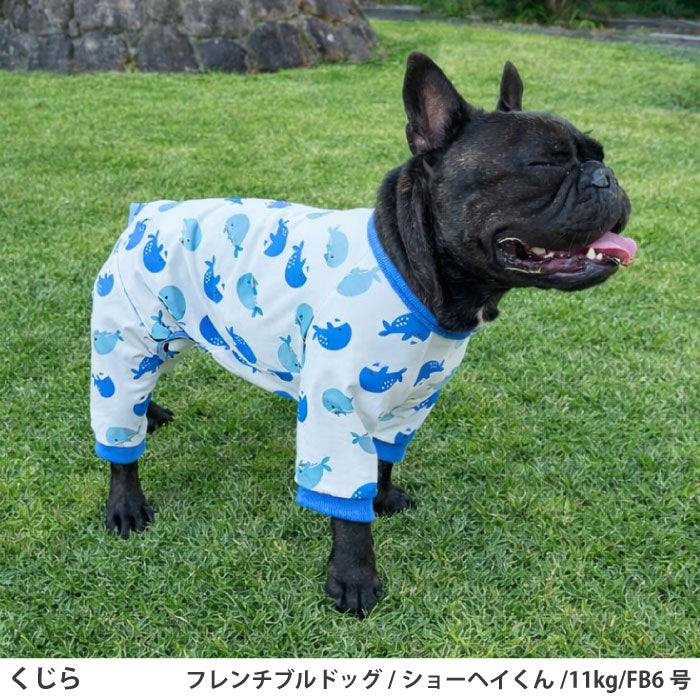 フレブル・パグ [全33size展開]<br>プリントクールロンパース クジラ - VERY-PET