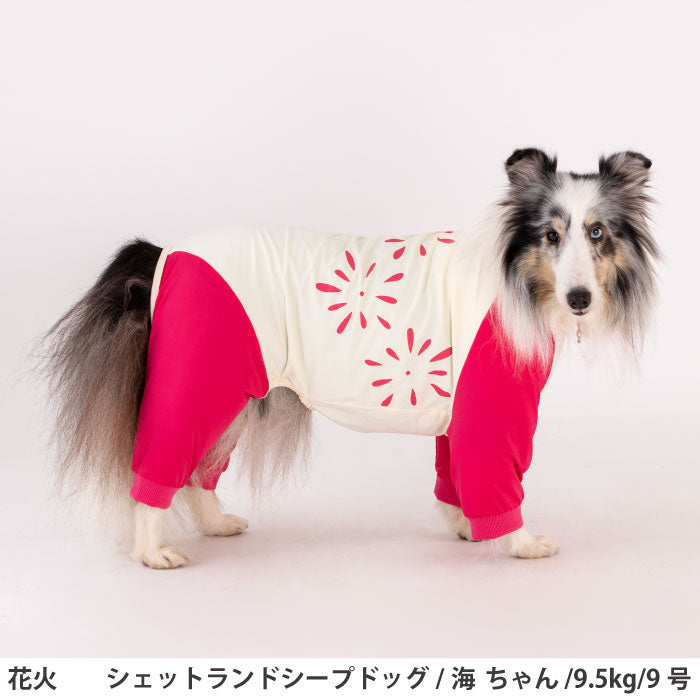 小型～超大型 ダックス 胴長 [全17size展開]<br>光るプリントクールロンパース 花火 - VERY-PET