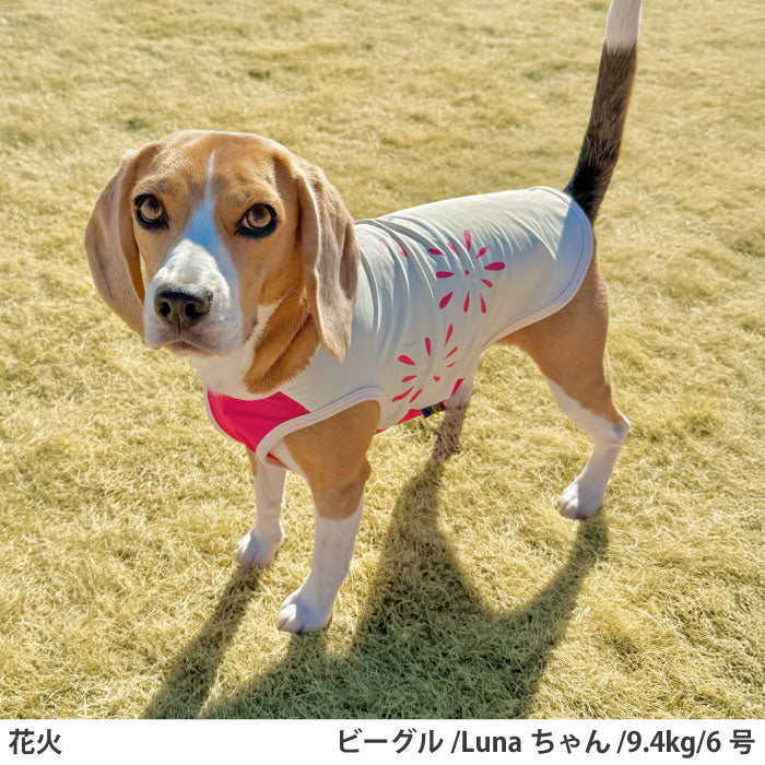 小型～超大型 ダックス 胴長 [全20size展開]<br>光るプリントクールタンク 花火 - VERY-PET