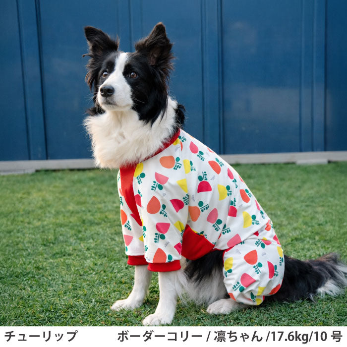 小型～超大型 ダックス 胴長 [全31size展開]<br>プリントクールロンパース チューリップ - VERY-PET