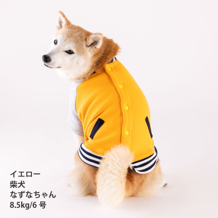 【スタイプレゼント対象商品】小型～超大型 ダックス 胴長 [全25size展開]<br>スタジャン