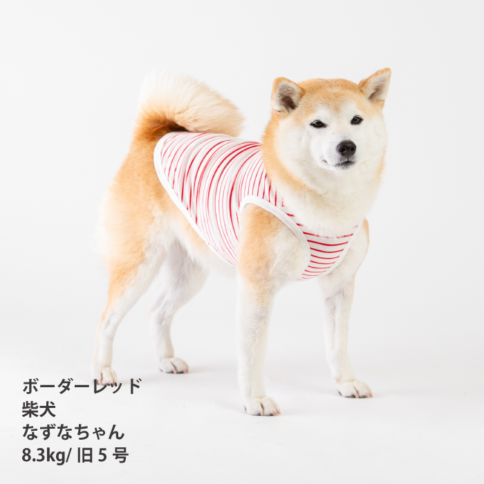 【綿100%】コットンタンクトップ　小型犬・胴長・ダックス - VERY-PET