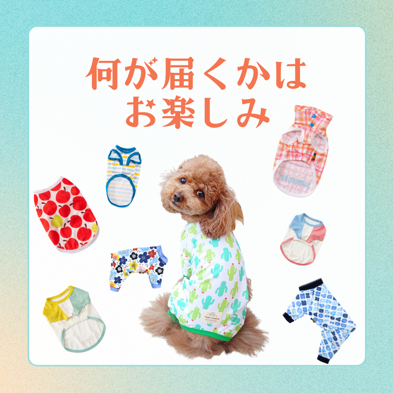【予約商品・6月中旬発送予定】Web限定 犬服 夏福袋 送料無料<br>中型犬5枚入 ※返品交換不可・在庫限り