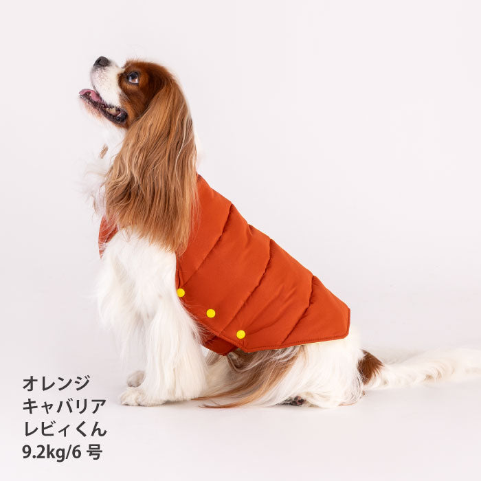 【スタイプレゼント対象商品】小型～大型 ダックス 胴長 [全20size展開]<br>ダウン風コート
