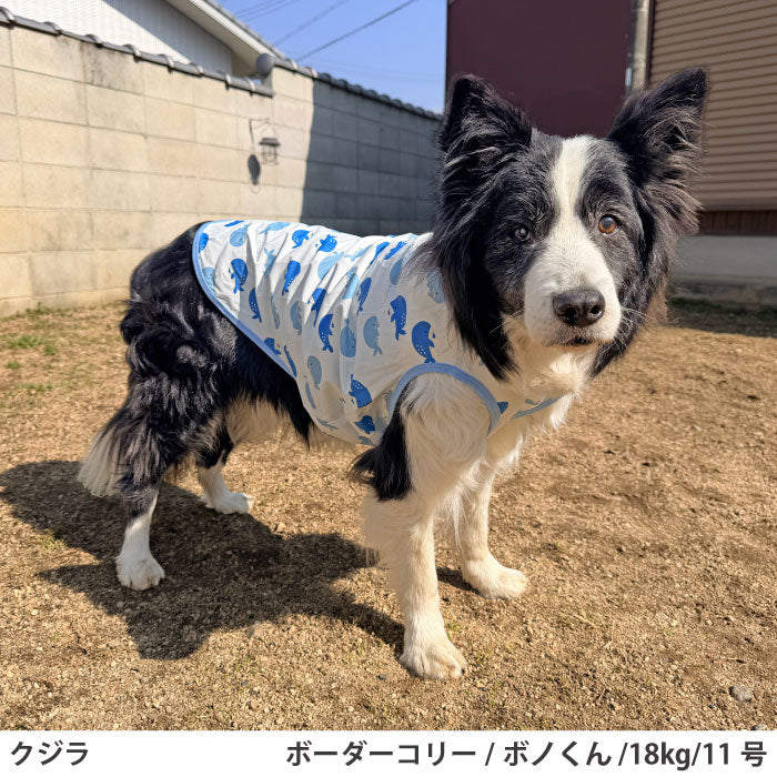 小型～超大型 ダックス 胴長 [全29size展開]<br>プリントクールタンク クジラ - VERY-PET
