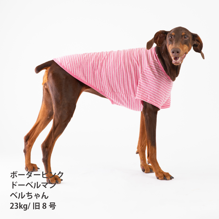 コットンTシャツ　無地・ボーダー【綿100%】大型犬 - VERY-PET