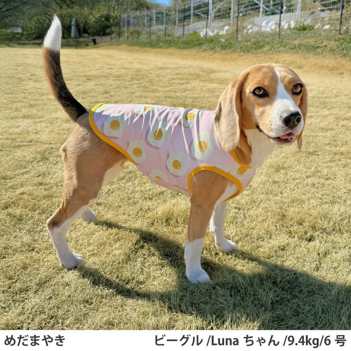 小型～超大型 ダックス 胴長 [全29size展開]<br>プリントクールタンク めだまやき - VERY-PET
