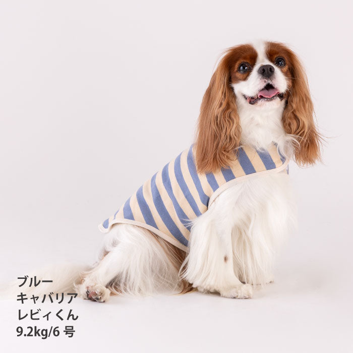【スタイプレゼント対象商品】小型～超大型 ダックス 胴長 [全26size展開]<br>ボーダーコート - VERY-PET