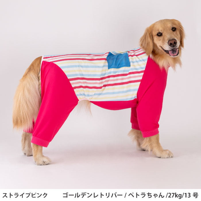 小型～超大型 ダックス 胴長 [全13size展開]<br>プリントクールロンパース ストライプピンク - VERY-PET