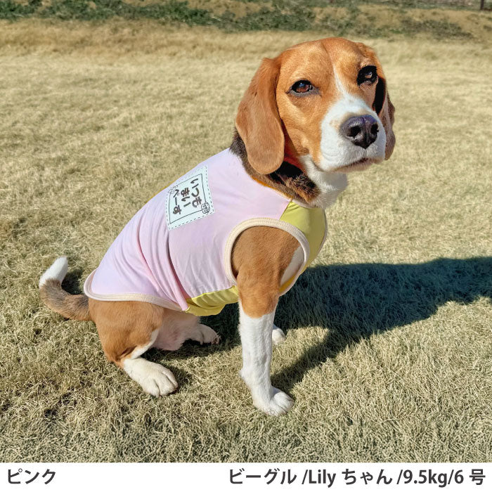 小型～超大型 ダックス 胴長 [全20size展開]<br>光るプリントクールタンク ピンク - VERY-PET