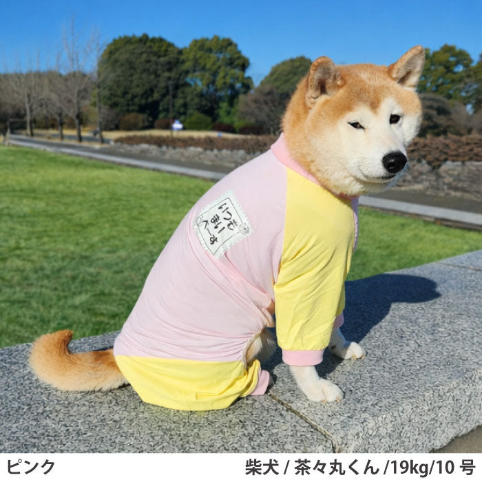 小型～超大型 ダックス 胴長 [全23size展開]<br>光るプリントクールロンパース ピンク - VERY-PET