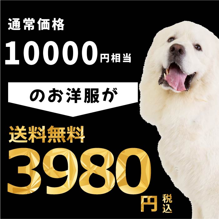 Web限定福袋 超大型犬3枚入 冬服・男女混合デザイン ※返品 交換不可