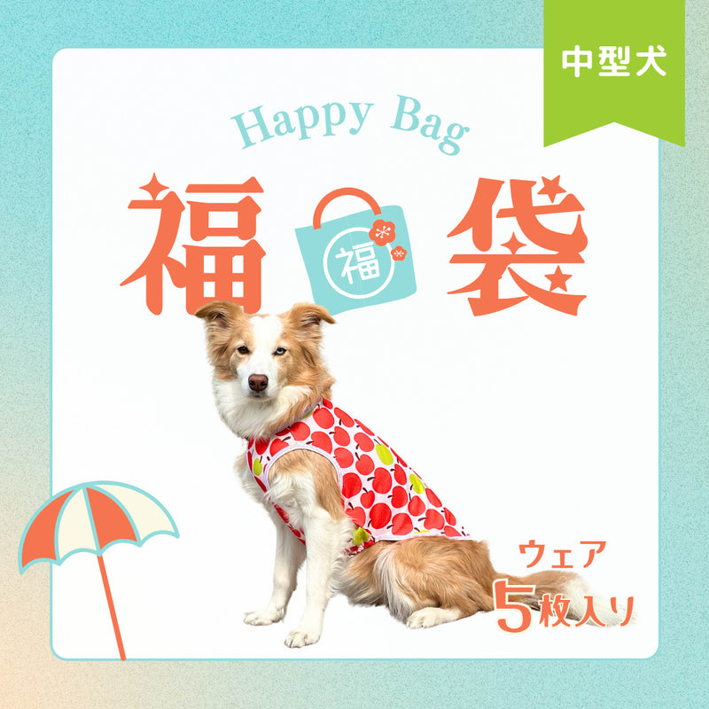【予約商品・6月中旬発送予定】Web限定 犬服 夏福袋 送料無料<br>中型犬5枚入 ※返品交換不可・在庫限り