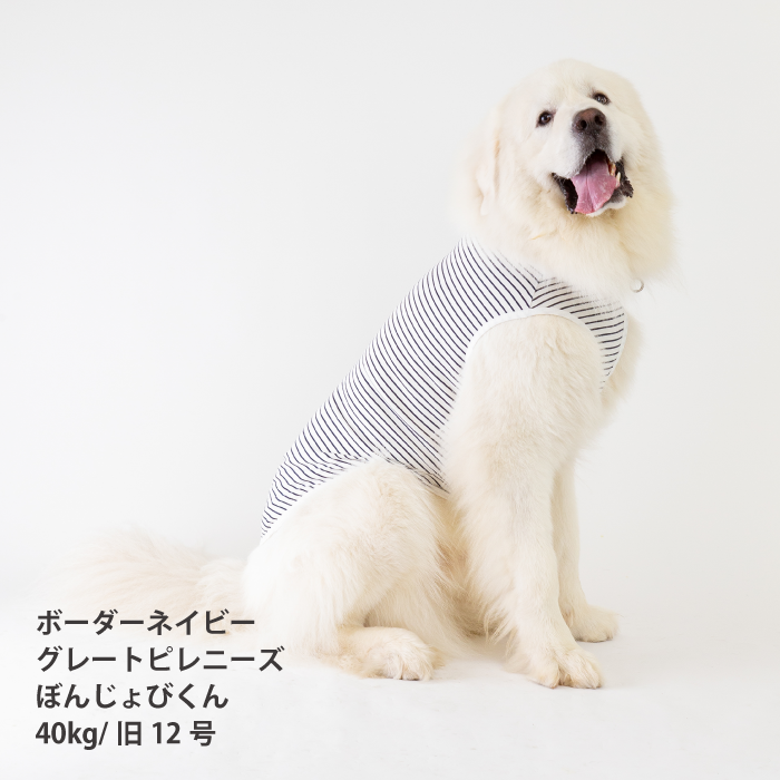 コットンタンクトップ　無地・ボーダー【綿100%】大型犬 - VERY-PET