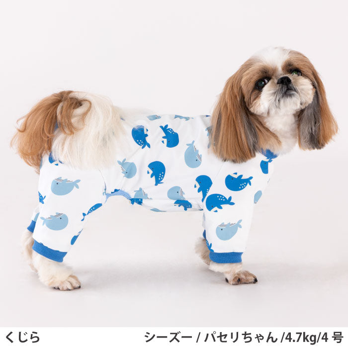小型～超大型 ダックス 胴長 [全33size展開]<br>プリントクールロンパース クジラ - VERY-PET