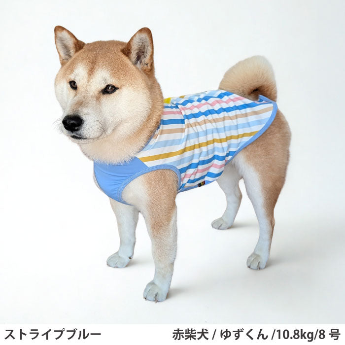 小型～超大型 ダックス 胴長 [全23size展開]<br>プリントクールタンク ストライプブルー - VERY-PET