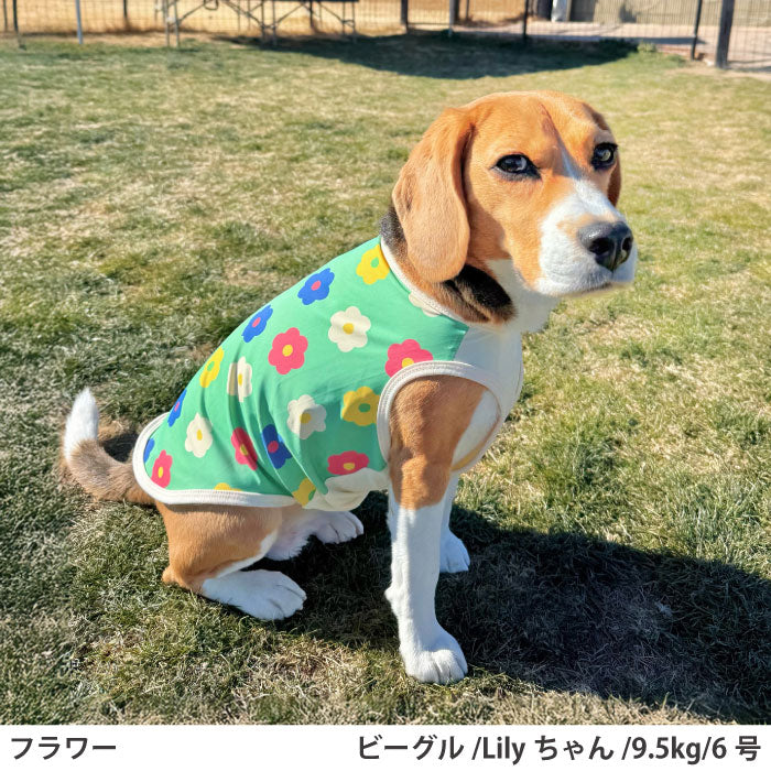 小型～超大型 ダックス 胴長 [全29size展開]<br>プリントクールタンク フラワー - VERY-PET