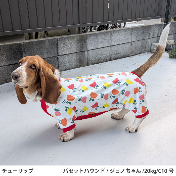 コーギー・バセット [全31size展開]<br>プリントクールロンパース チューリップ - VERY-PET