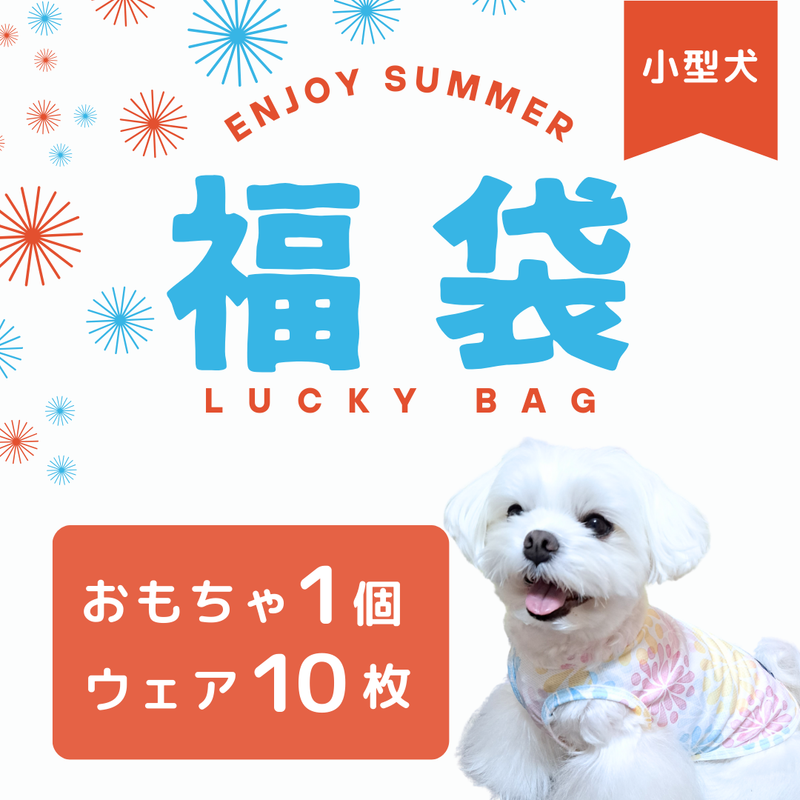 Web限定 おもちゃ入り福袋 送料無料<br>小型犬10枚入　 ※返品交換不可・在庫限り