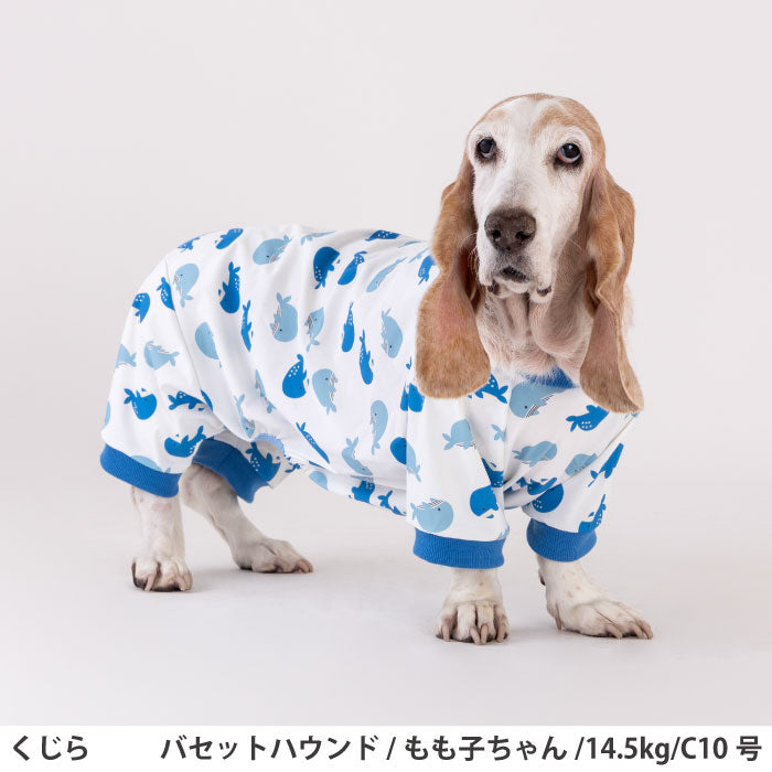 コーギー・バセット [全33size展開]<br>プリントクールロンパース クジラ - VERY-PET