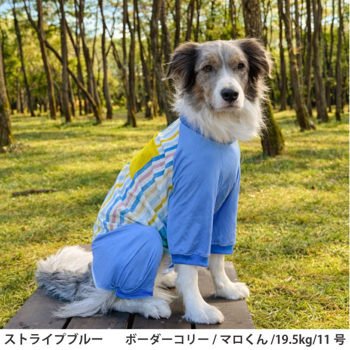 小型～超大型 ダックス 胴長 [全29size展開]<br>プリントクールロンパース ストライプブルー - VERY-PET