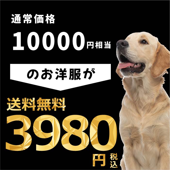 Web限定福袋<br>大型犬4枚入<br>冬服・男女混合デザイン<br>※返品 交換不可 - VERY-PET