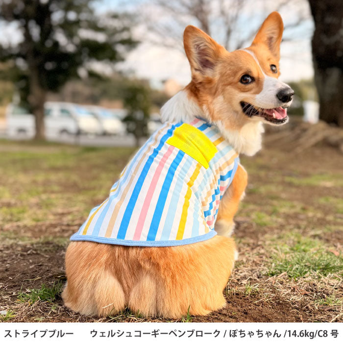 コーギー・バセット [全23size展開]<br>プリントクールタンク ストライプブルー - VERY-PET