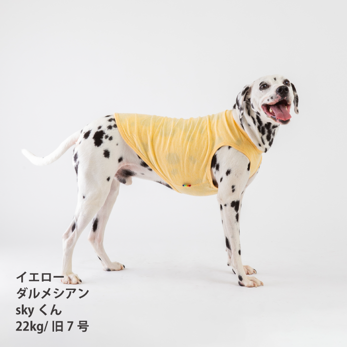 コットンタンクトップ　無地・ボーダー【綿100%】中型犬 - VERY-PET